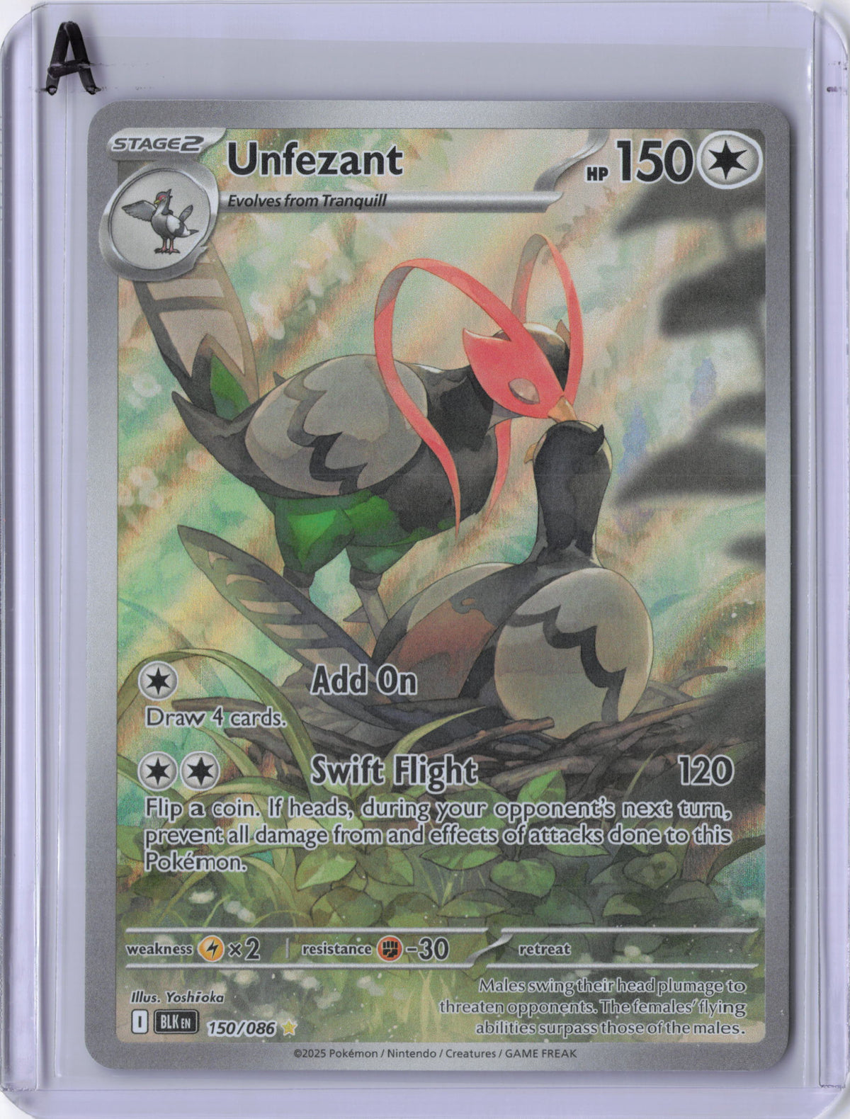 Unfezant - 150/086 - SV: Black Bolt (BLK)