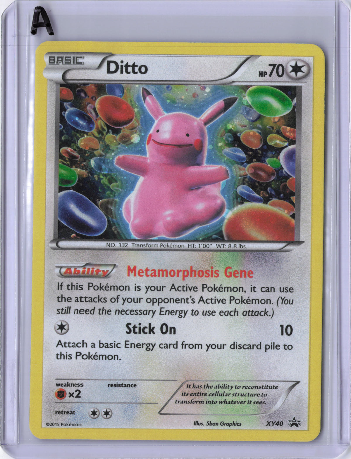 Ditto (Holo) - XY Promos (PR) LP