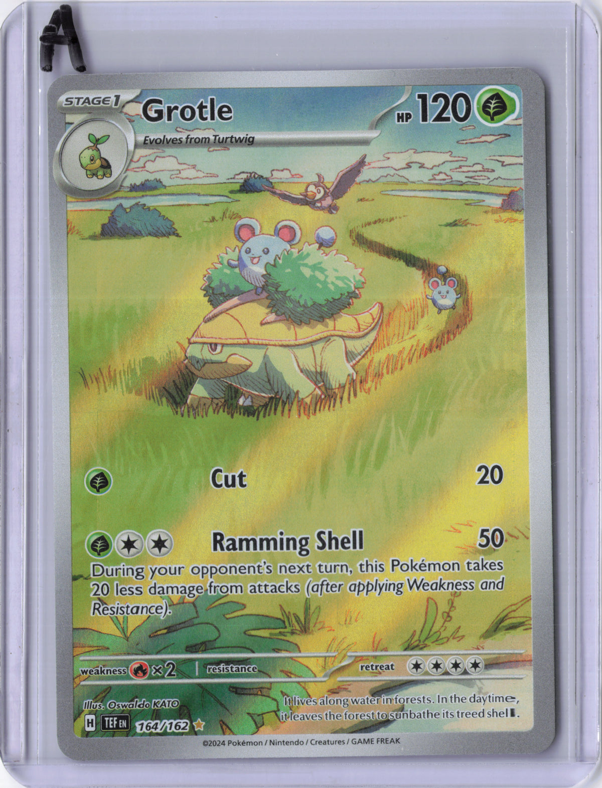 Grotle - 164/162 - SV05: Temporal Forces (TEF)