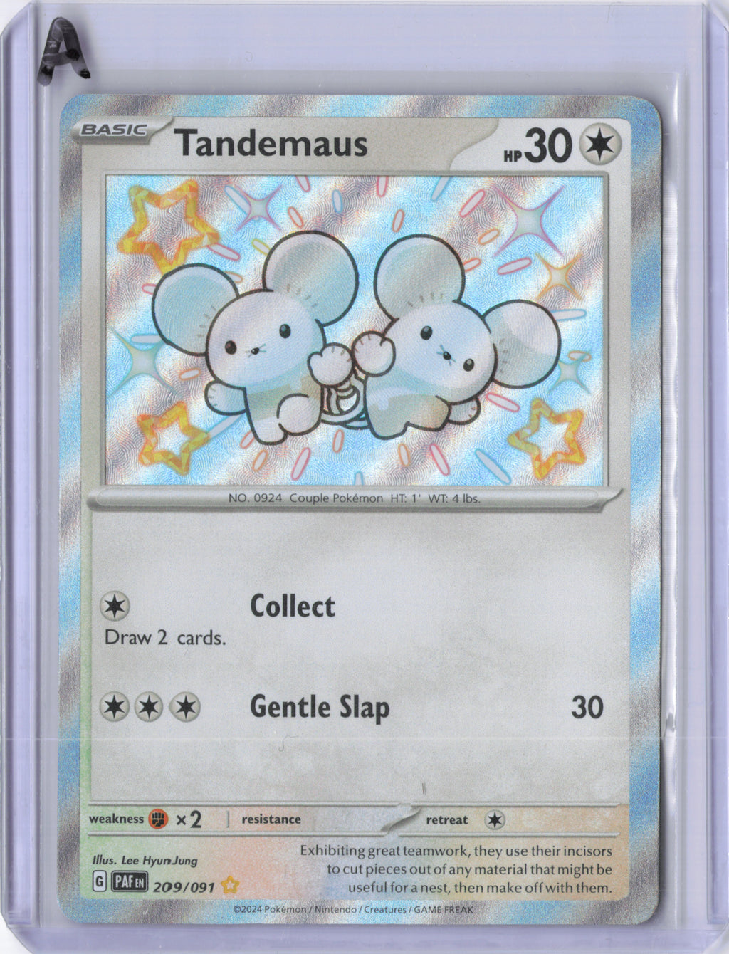 Tandemaus - 209/091 - SV: Paldean Fates