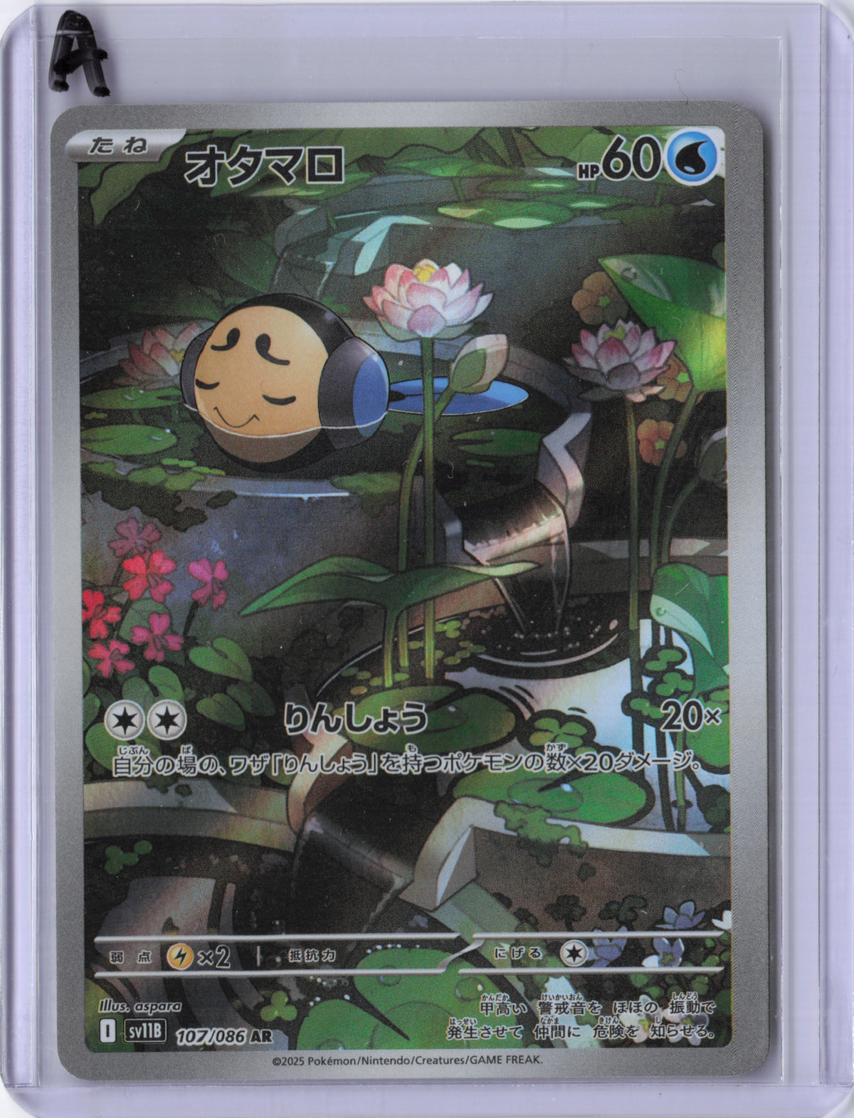 Tympole - 107/086 - SV11B: Black Bolt (SV11B)