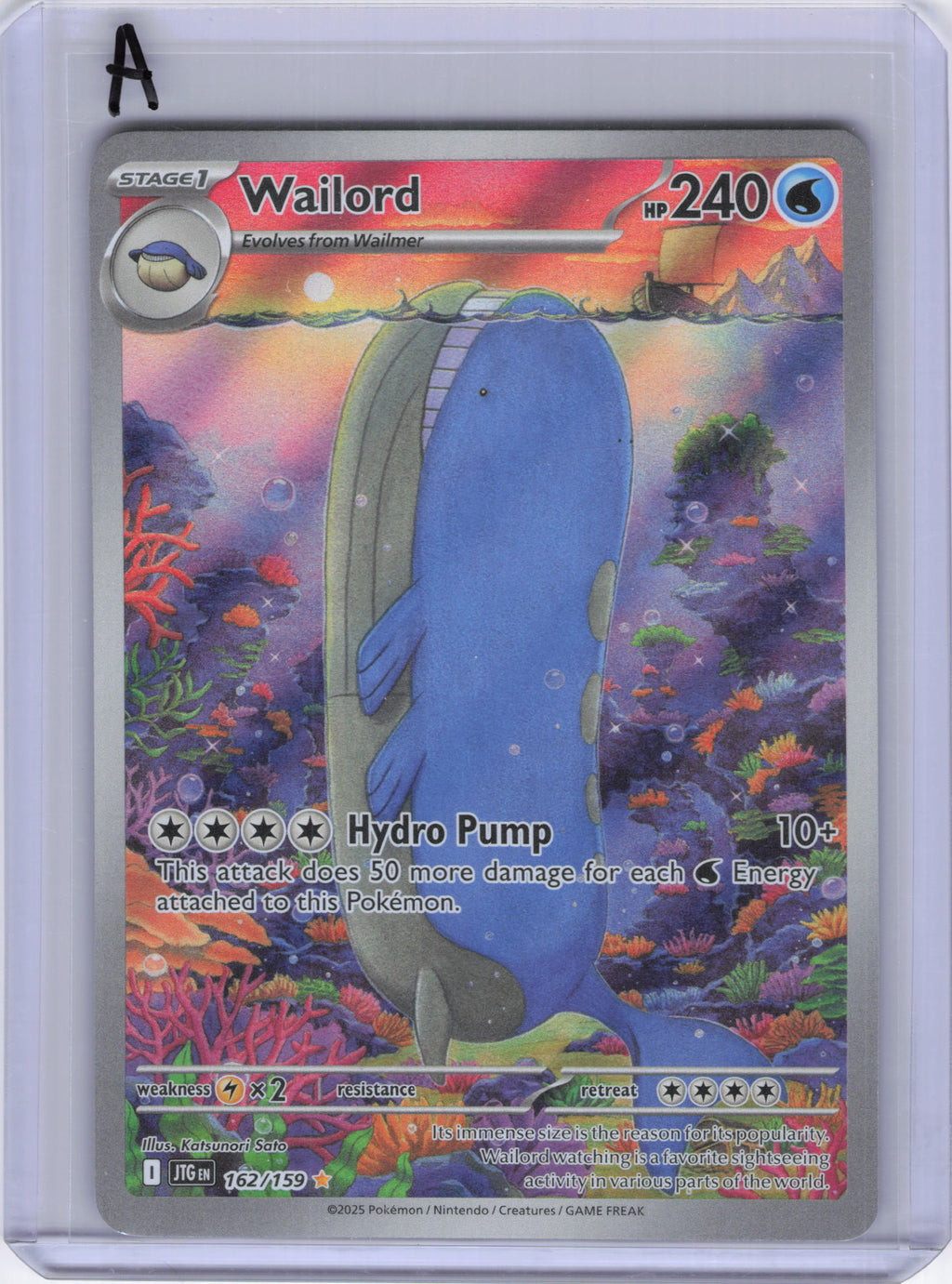 Wailord - 162/159 - SV09: Journey Together (JTG)
