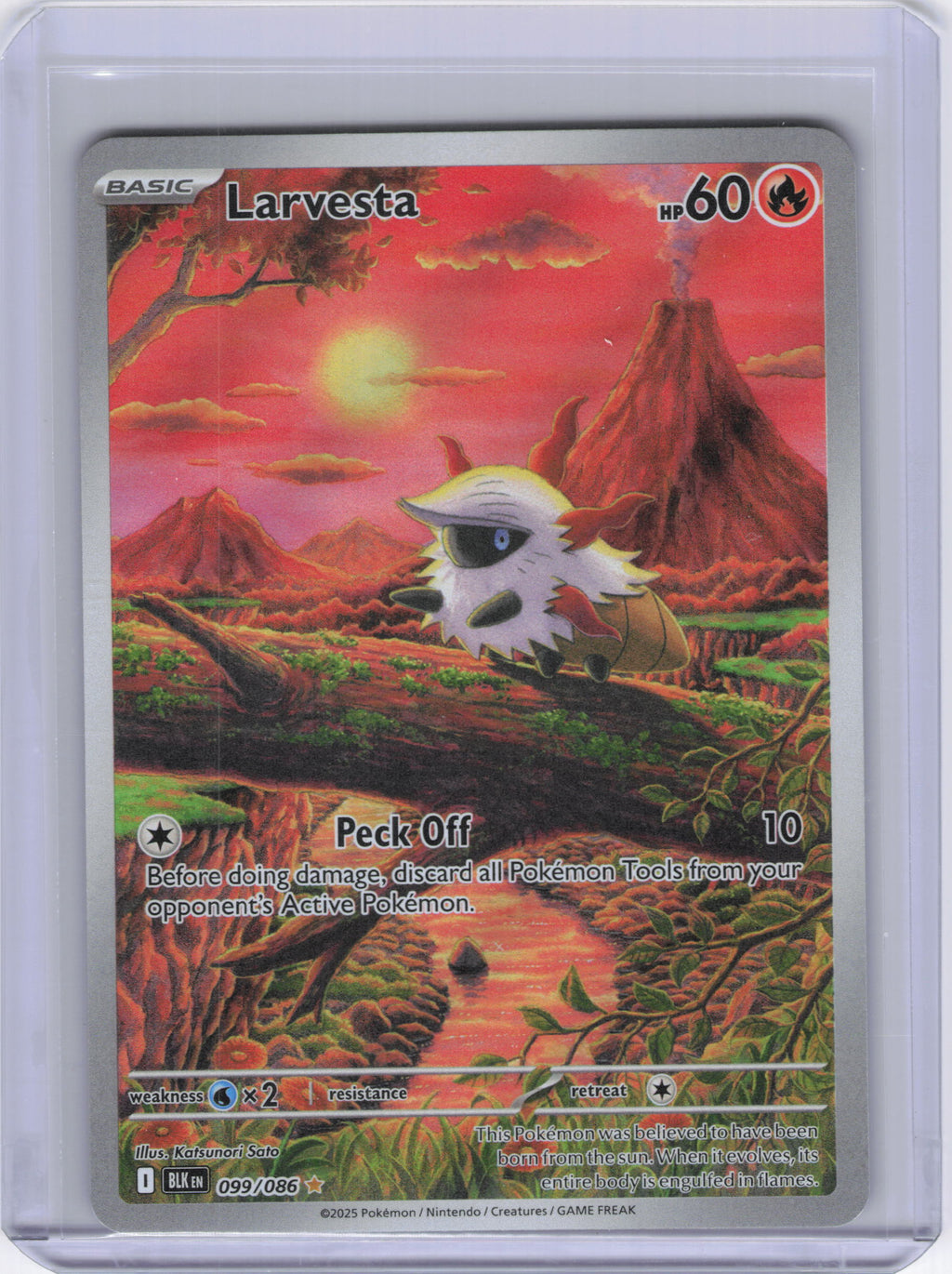 Larvesta - 099/086 - SV: Black Bolt (BLK)