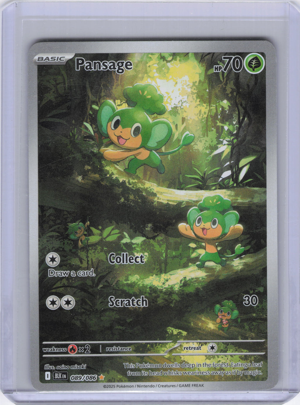 Pansage - 089/086 - SV: Black Bolt (BLK)