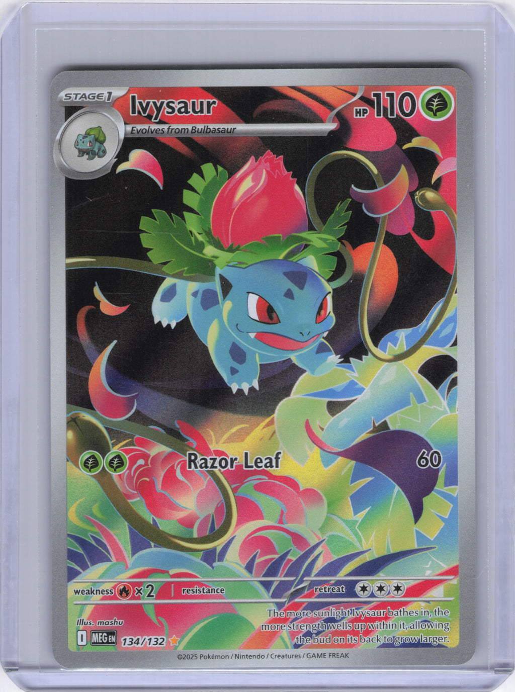 Ivysaur - 134/132 - ME01: Mega Evolution (MEG)