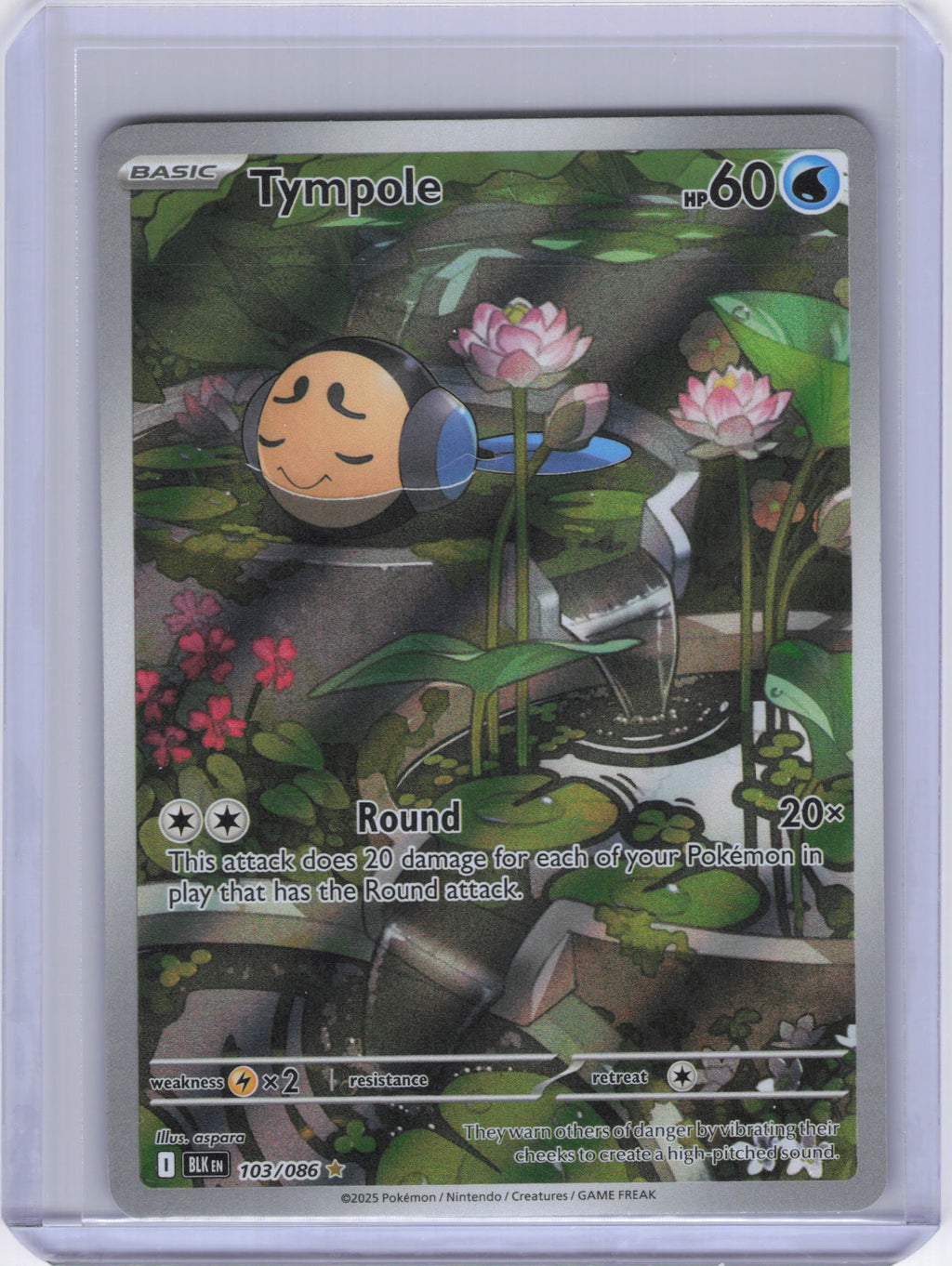 Tympole - 103/086 - SV: Black Bolt (BLK)