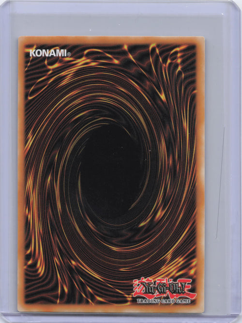 Dominus Impulse - 2025 Mega-Pack (MP25)
