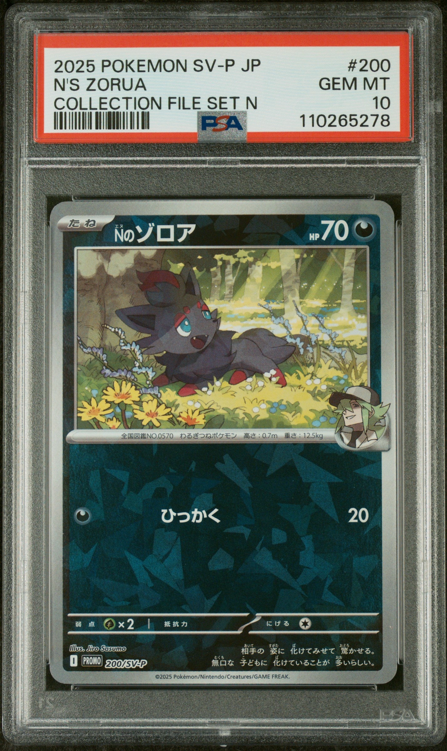 PSA 10 Japanese N's Zorua (Cracked Ice Foil) [Collection File Set N]