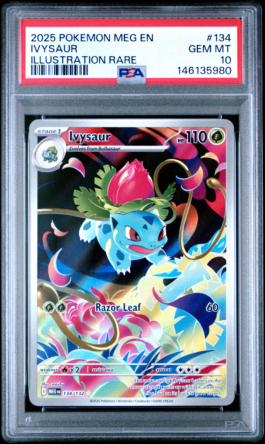 PSA 10 Ivysaur #134 (Illustration Rare} [Mega Evolution]