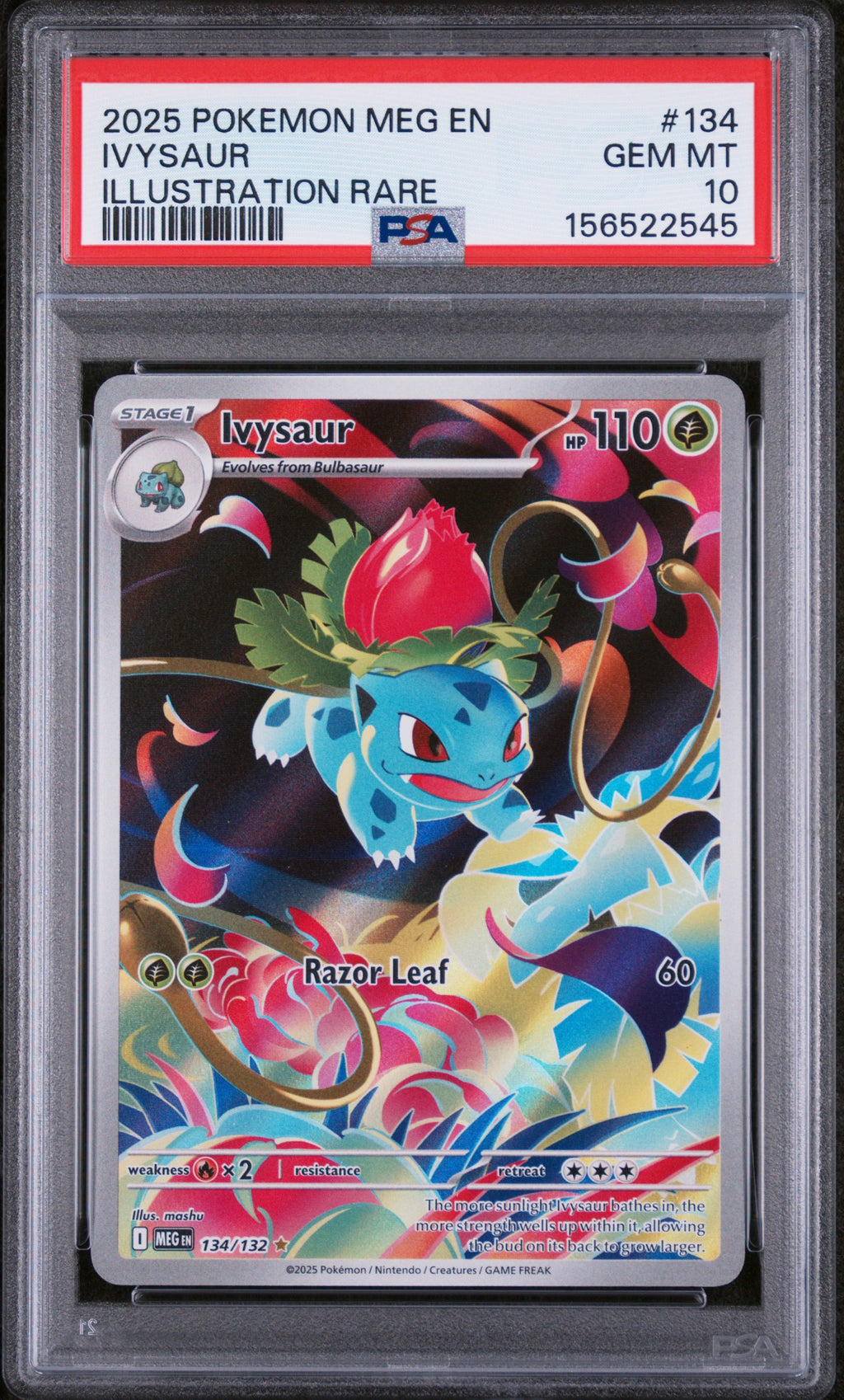 PSA 10 Ivysaur (Illustration Rare) [Mega Evolution]