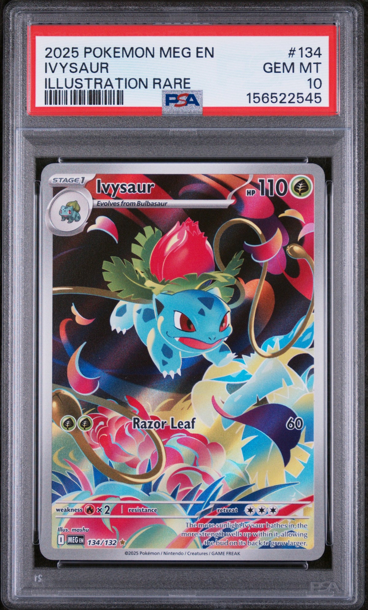 PSA 10 Ivysaur (Illustration Rare) [Mega Evolution]