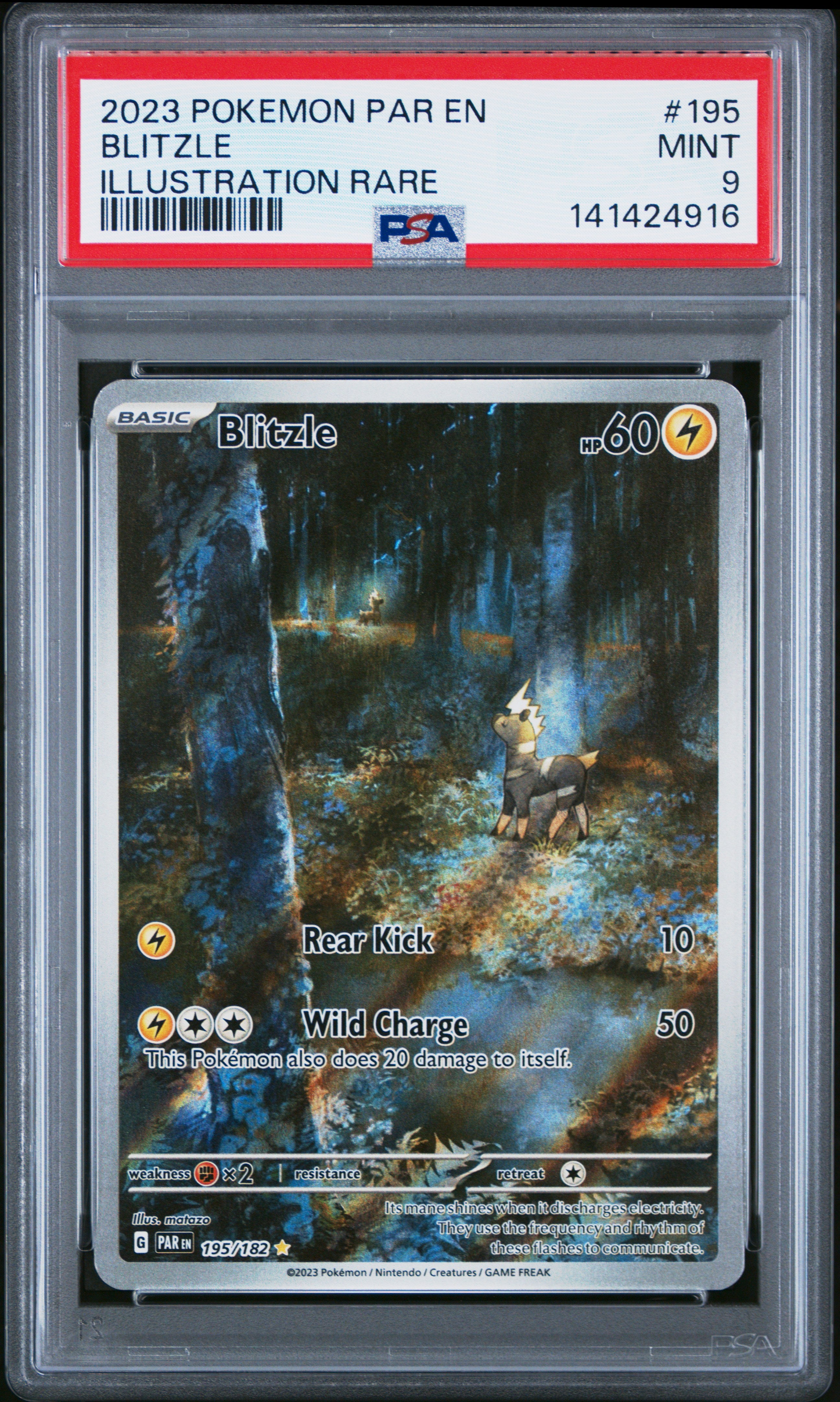 PSA 9 Blitzle (Illustration Rare) #195 [Paradox Rift]