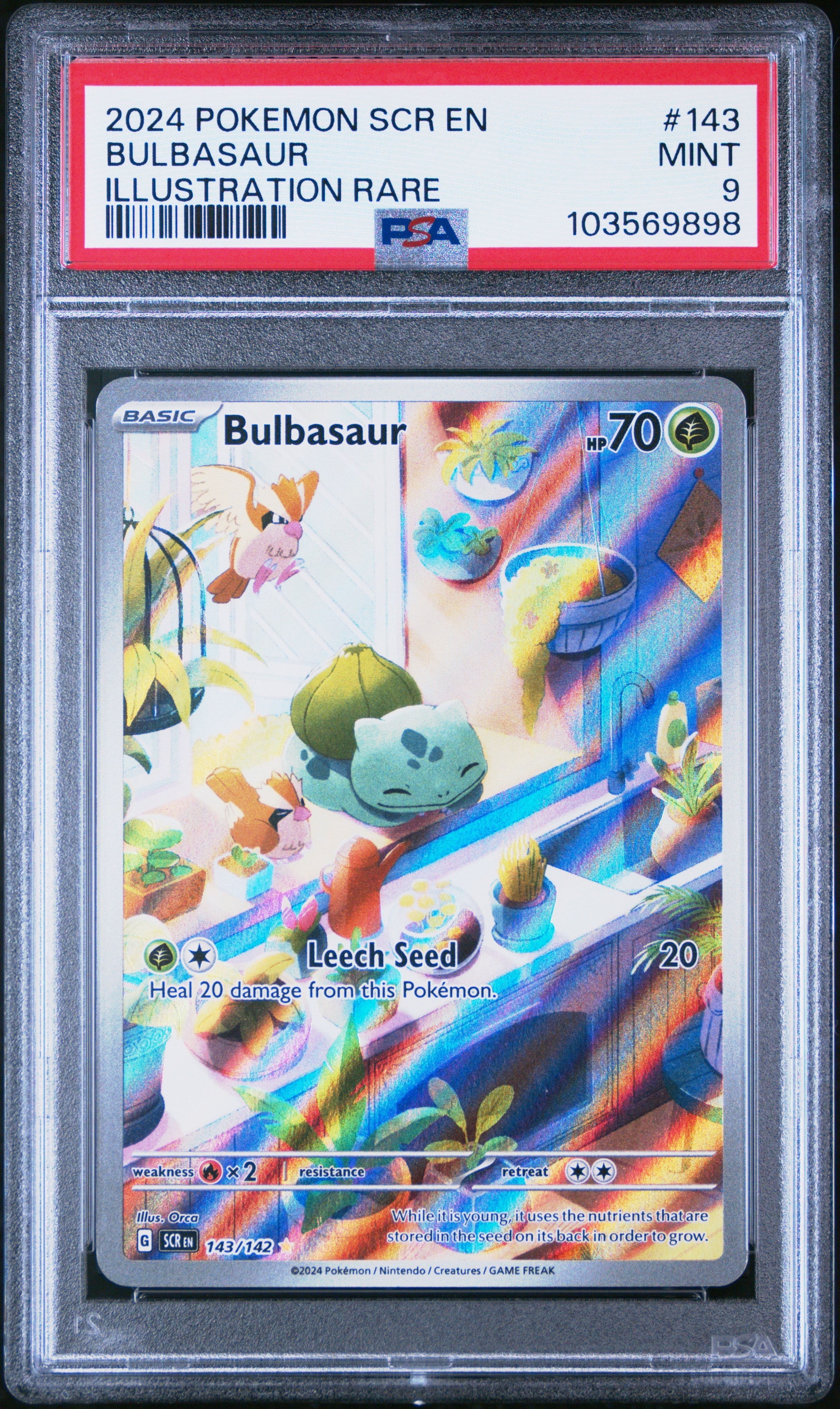 PSA 9 Bulbasaur #143 (Illustration Rare) [Stellar Crown]
