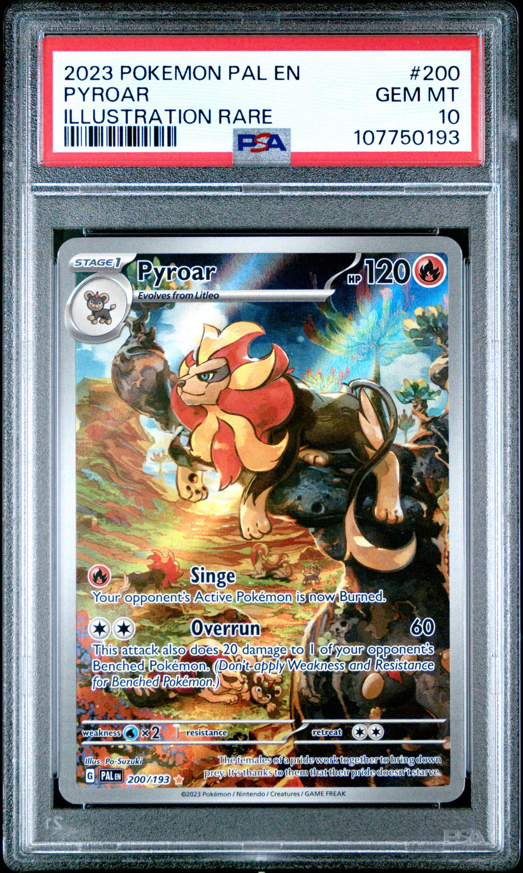 PSA 10 Pyroar #200 [Paldea Evolved]