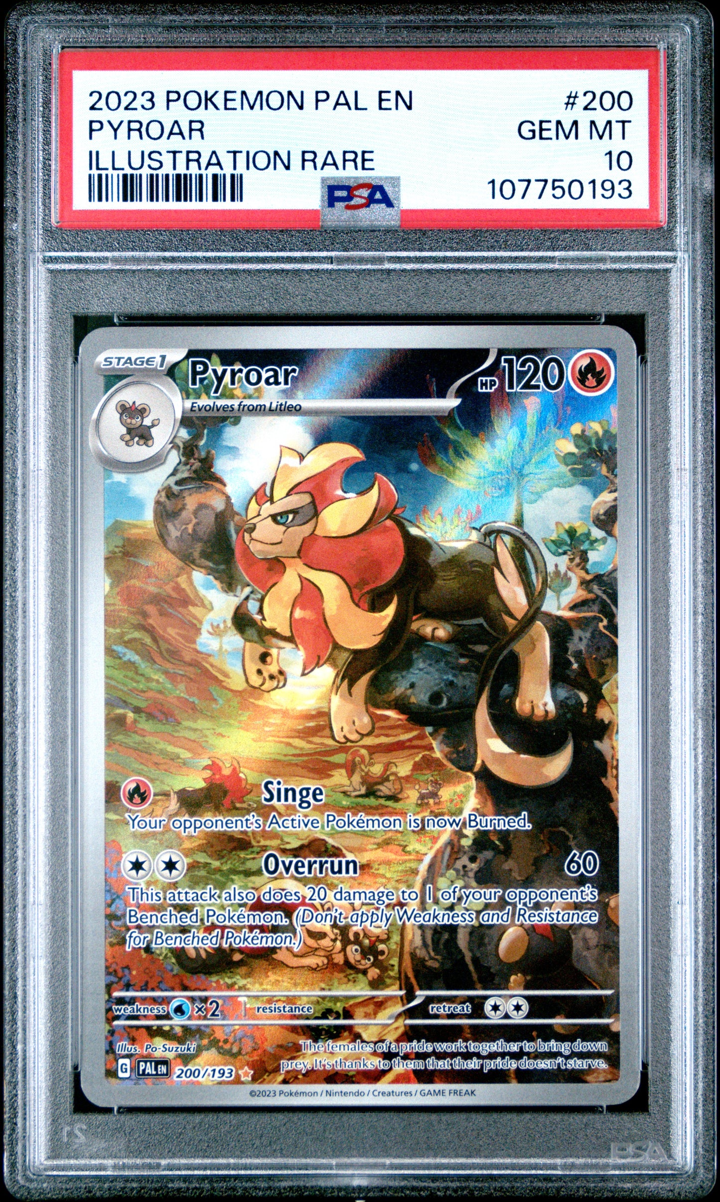 PSA 10 Pyroar #200 [Paldea Evolved]