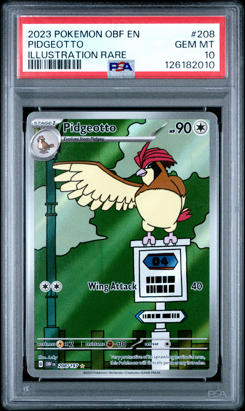 PSA 10 Pidgeotto (Illustration Rare) [Obsidian Flames]